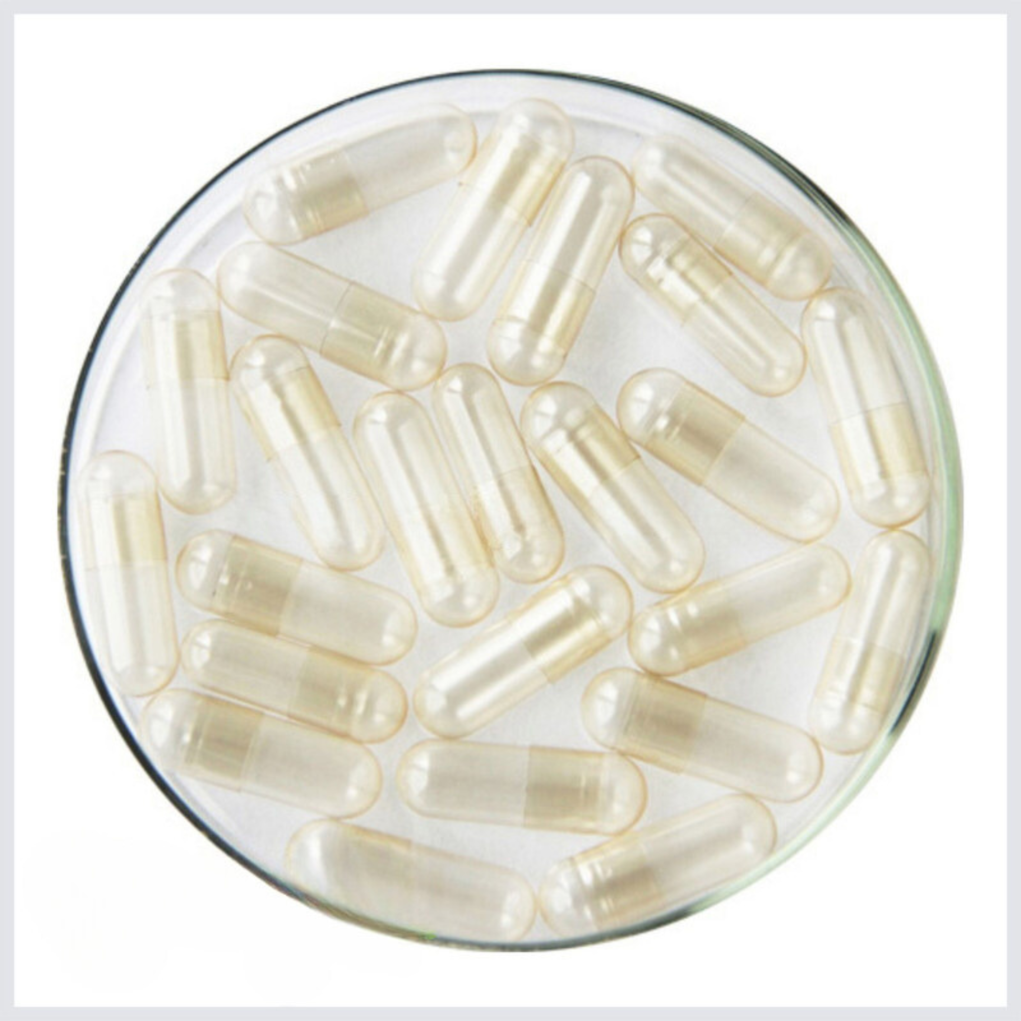 Empty Gelatin Capsule Bulk Buy(ALL)